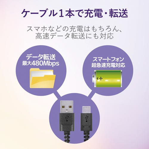 A−Cケーブル 高耐久 0.3m ブラック