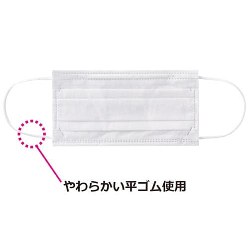 1枚ずつ取り出しやすいマスクふつう 50枚×5