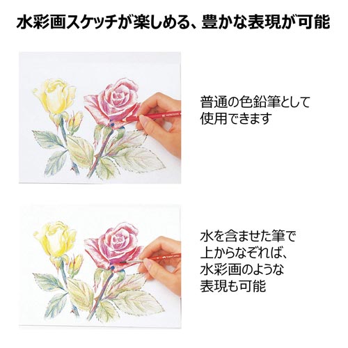 eb@ʐFM