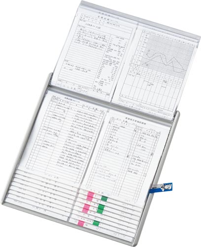 カラーカードインデックス青11P