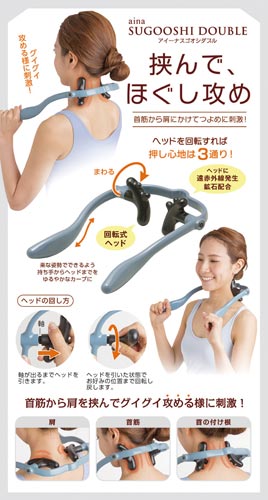 アイーナスゴオシダブル