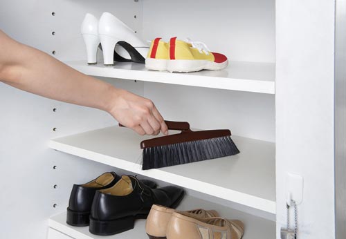 サット ブルーム