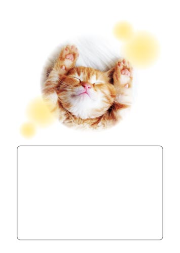 蒠