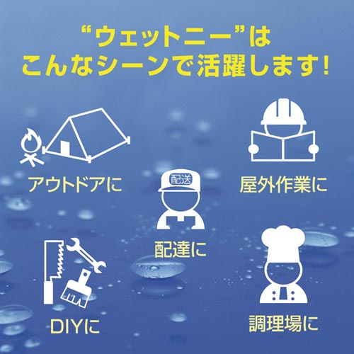 油性ボールペン ウェットニー ガンメタリック