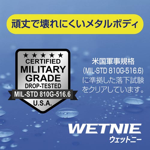油性ボールペン ウェットニー ガンメタリック