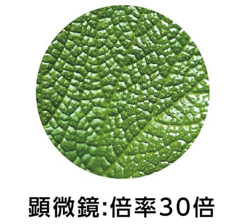 8・30スコープ(新型プリスター仕様)