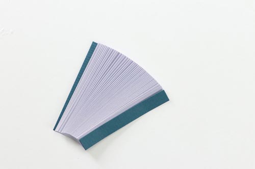 SPリトマス試験紙