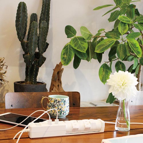 TAPKING USB AC×6 USB×2