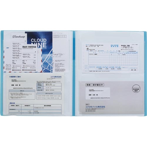 領収書&明細ファイル(固定式)ノビータ24P 白