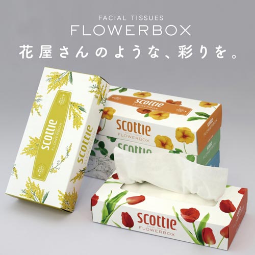 日本製紙クレシア スコッティ ティシュー カウネット