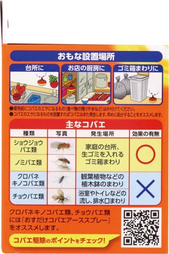 ノミバエ トラップ コーヒー ノミバエ トラップ コーヒー