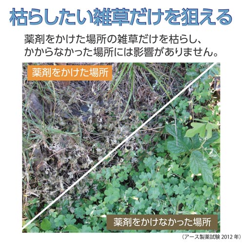 おうちの草コロリ カウネット おうちの草コロリ カウネット