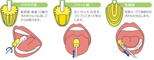 vXn[g@}EX|W