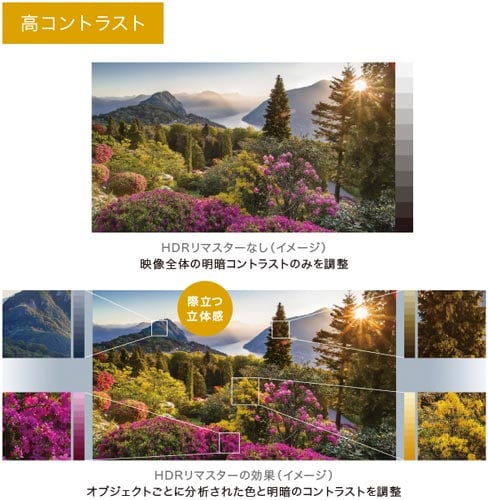 49V型ハドル用ブラビア4Kディスプレイ