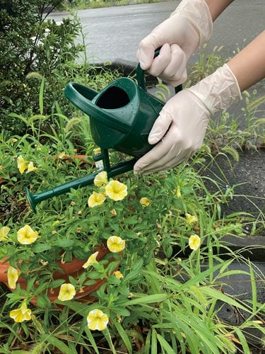 バラダミー 天然ゴム極薄手袋 100枚入 M