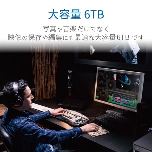 外付けハードディスク Gen2対応 6TB
