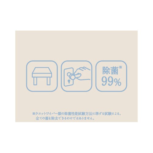 激落ちくん除菌ウェットシートレギュラー3個入×12