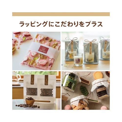 ネームランド KLーSP100