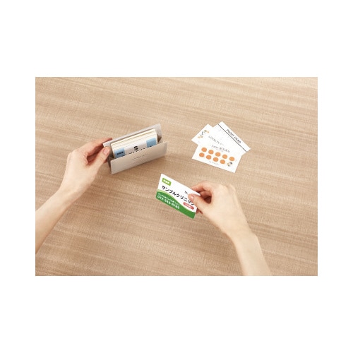 カードホルダー<ノビータ>6Pサンドベージュ×10