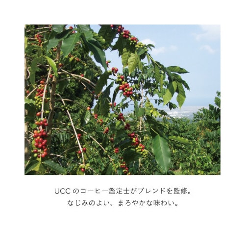 DRIPPOD スペシャルブレンド 12杯