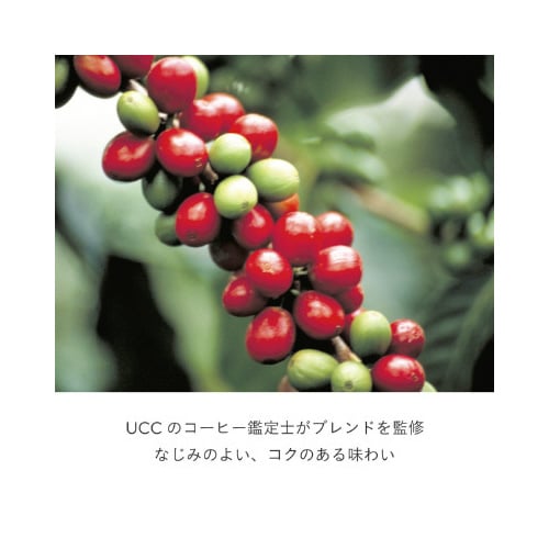 DRIPPOD リッチブレンド 12杯