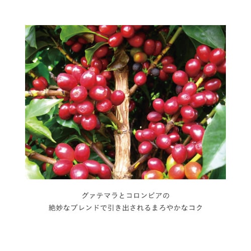 DRIPPOD グァテマラ&コロンビア 12杯