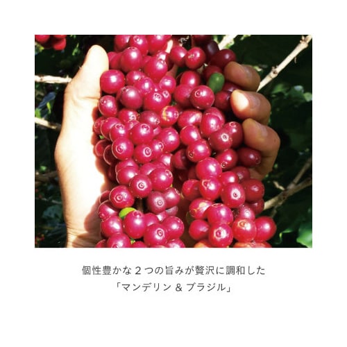 DRIPPOD マンデリン&ブラジル 12杯