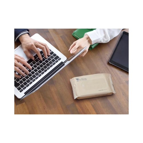 除菌ウェット ウィルス除去大判 30枚2P入×5