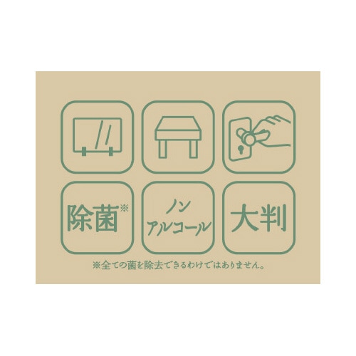 ノンアルコール除菌ウェットタオル大判 30枚 2個