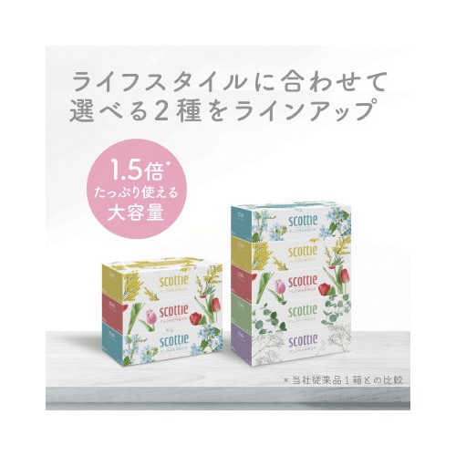 スコッティ ティシュー フラワー 250組×5箱