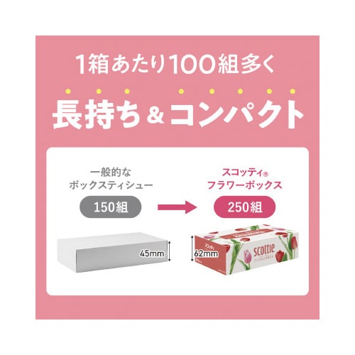 スコッティ ティシュー フラワー 250組×5箱