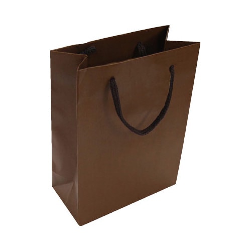 ペーパーバッグMS茶10枚入