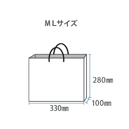 ペーパーバッグML黒10枚入