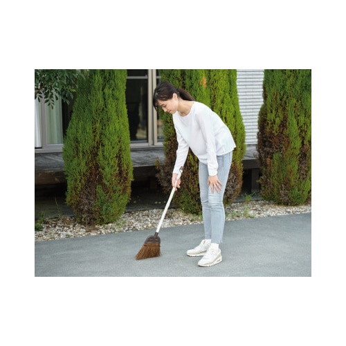 Daily Clean2 庭箒(シダ)S