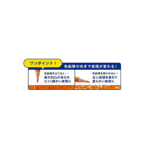 アートライン 色鉛筆 12色セット