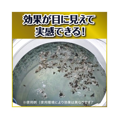 ガッツリ剥がす 洗たく槽カビキラー 250G×4