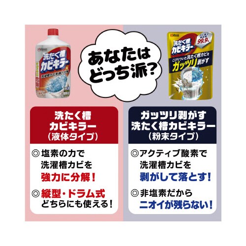 ガッツリ剥がす 洗たく槽カビキラー 250G×4