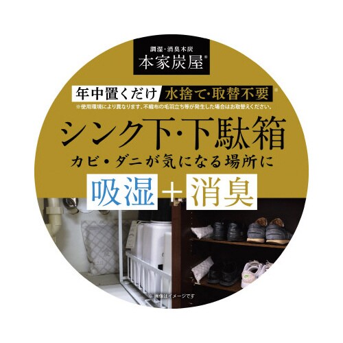 調湿・消臭木炭 本家炭屋スクエアS 1個入×6