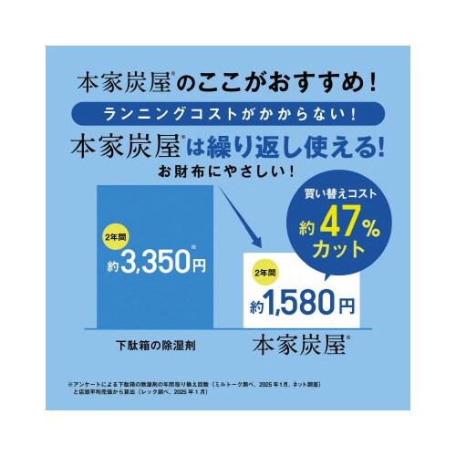 調湿・消臭木炭 本家炭屋スリムL 1個入×3