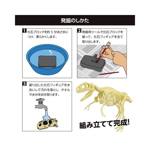 化石発掘キット ティラノサウルス