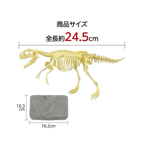 化石発掘キット ティラノサウルス