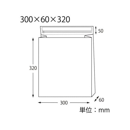 宅配袋 クッション付き A4用 未晒 10X5
