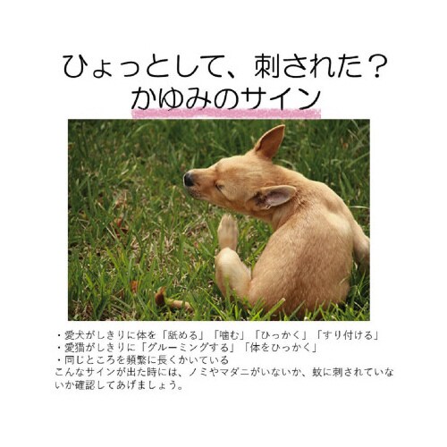 おでかけ用虫よけわんにゃんクリップ140日用