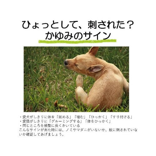 おでかけ用虫よけわんにゃんクリップハーブ70日用