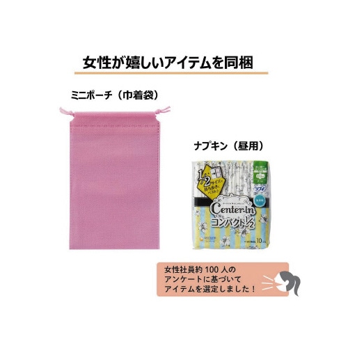 防災セット 災害衛生セット(女性用) A4サイズ