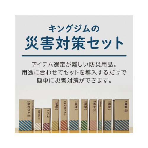 防災セット 災害帰宅セット2 A4サイズ