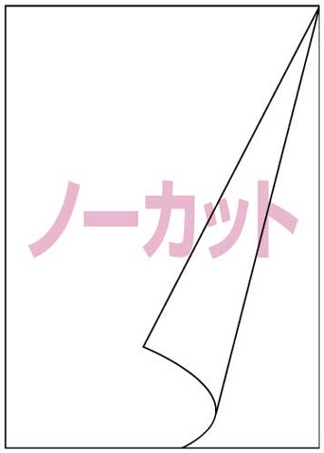 下地がかくせる修正ラベル LBP A4 1面20枚