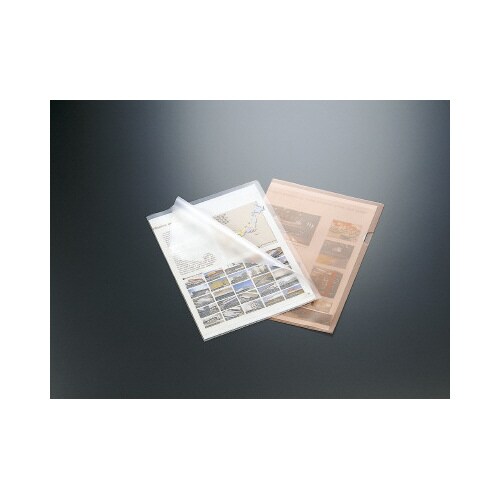 クリヤーホルダー(エコノミー)A4 透明 10枚