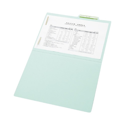 個別フォルダー A4 青 10枚入