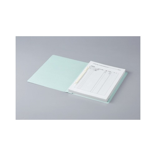 フラットファイル<オール紙>(厚とじ)A4縦 青